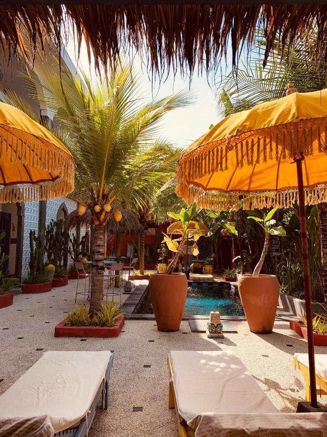 Sunflower Stay And Surf Canggu  Luaran gambar